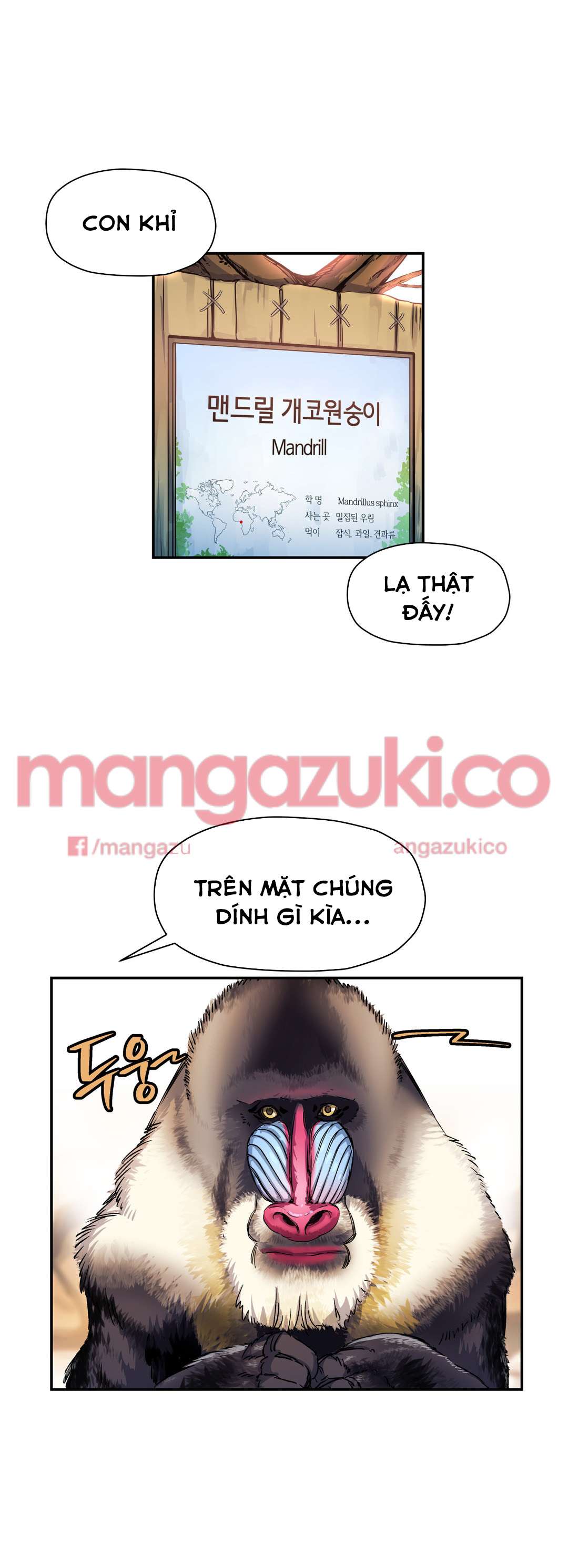 manhwax10.com - Truyện Manhwa Dõi theo tình đầu Chương 10 Trang 21