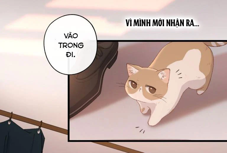 manhwax10.com - Truyện Manhwa Cà Phê Mèo Phục Thù Ký Chương 4 Trang 33