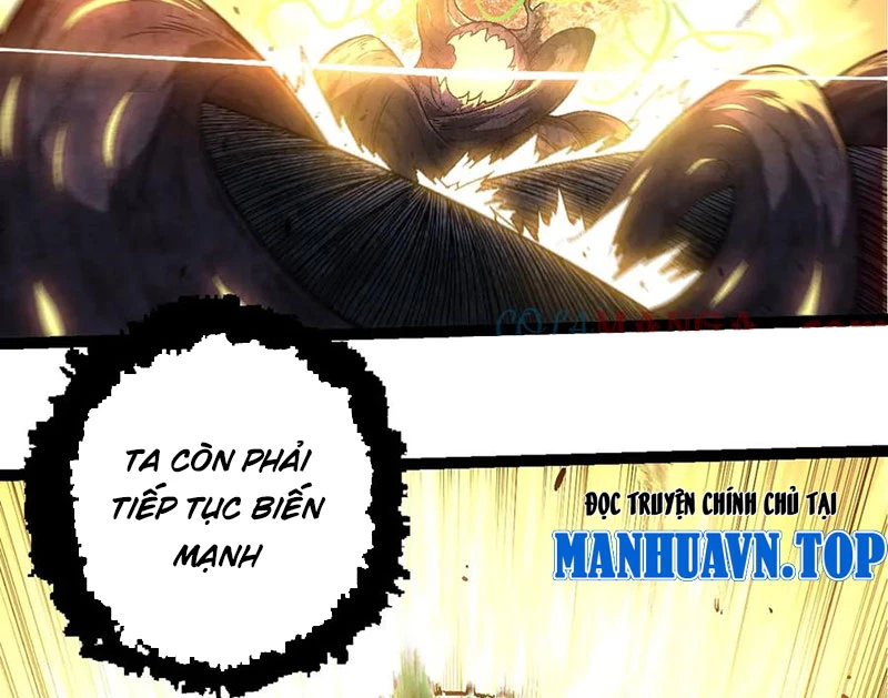 manhwax10.com - Truyện Manhwa Chuyển Sinh Thành Liễu Đột Biến Chương 256 Trang 89