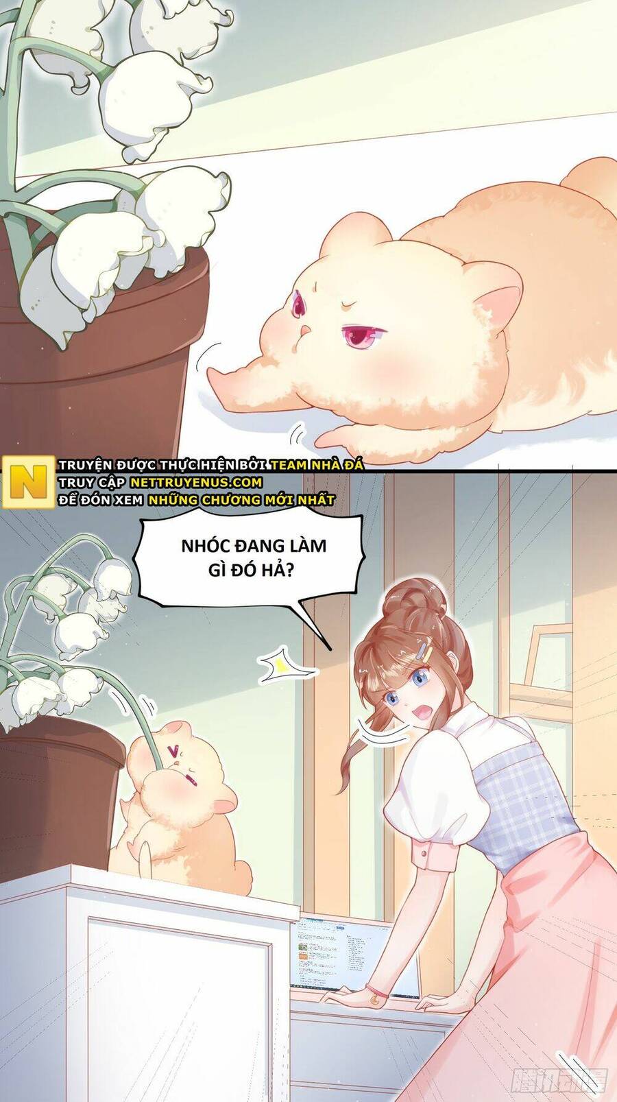 manhwax10.com - Truyện Manhwa Bảo Điển Tình Yêu Của Hamster Chương 1 Trang 19