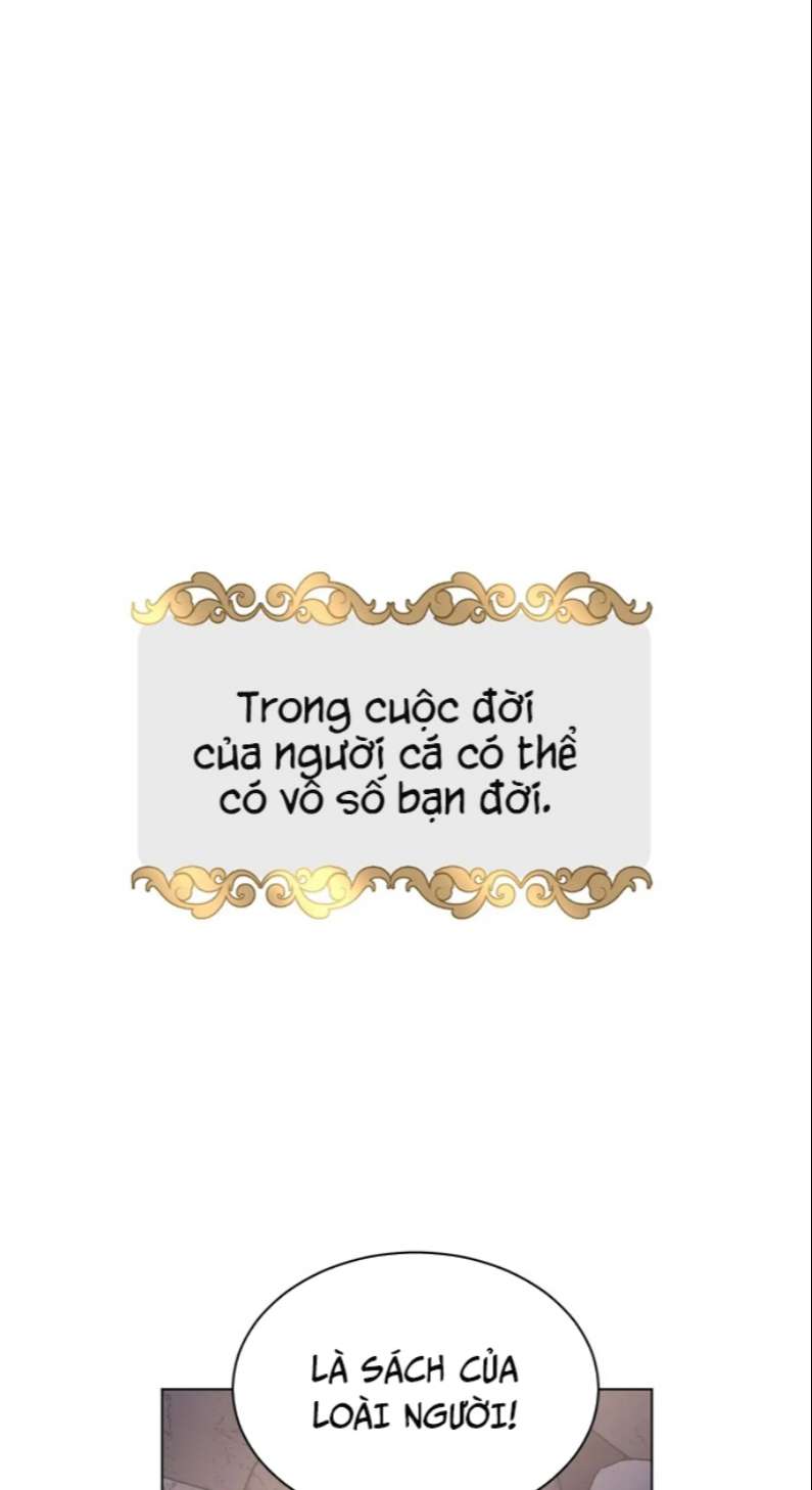 manhwax10.com - Truyện Manhwa Muốn Sờ Đuôi Chương 24 Trang 2