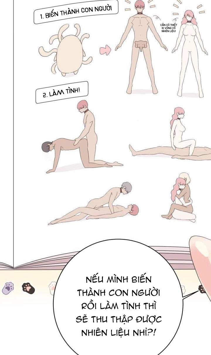 manhwax10.com - Truyện Manhwa TUYỂN TẬP BL THÚ NHÂN VÀ XÚC TU Chương 11 1 DU L CH 1 Trang 15