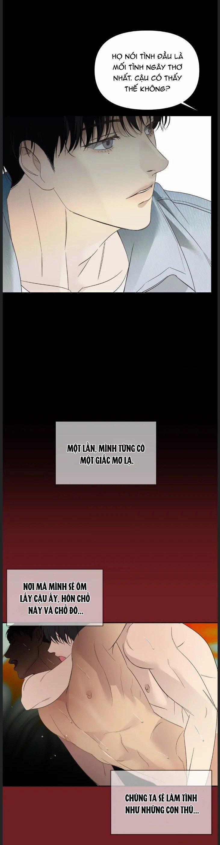 manhwax10.com - Truyện Manhwa [18+] Backlight- Bản Uncensored Chương 17 2 Trang 2