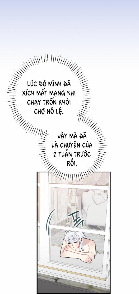 manhwax10.com - Truyện Manhwa [18+] Chuyện Mèo Trắng Bị Ba Tước Báo Đen Ăn Thịt Chương 8 2 Trang 15