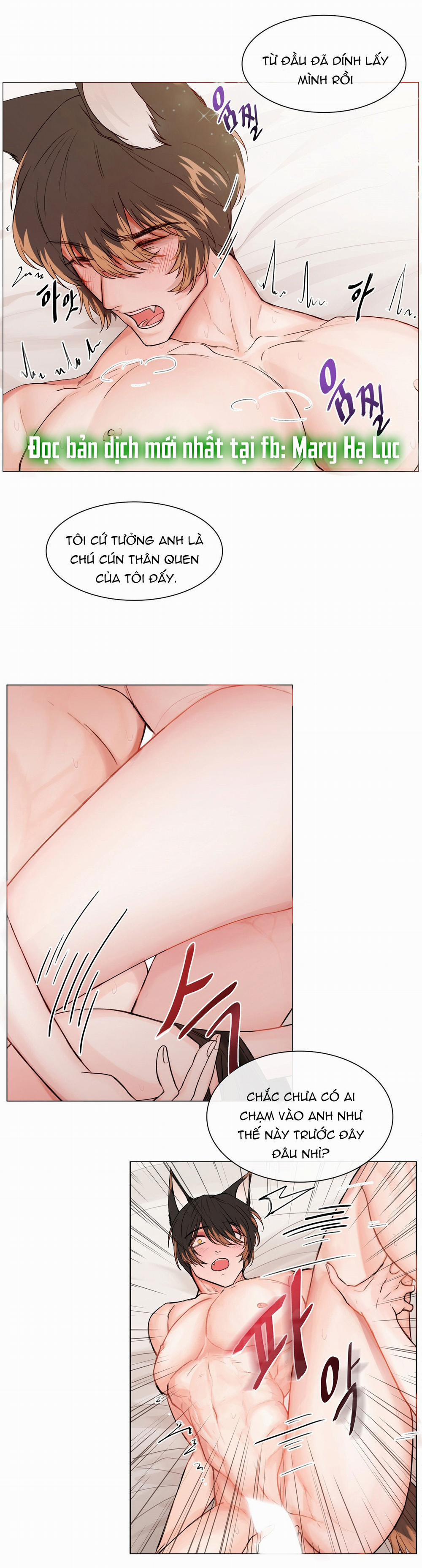 manhwax10.com - Truyện Manhwa [18+] Cún Con Của Chủ Nhân Chương 1 2 Trang 13