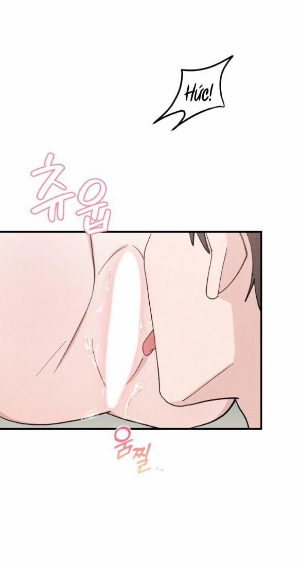 manhwax10.com - Truyện Manhwa [18+] Cuộc Hôn Nhân Chính Trị Chương 13 1 Trang 4