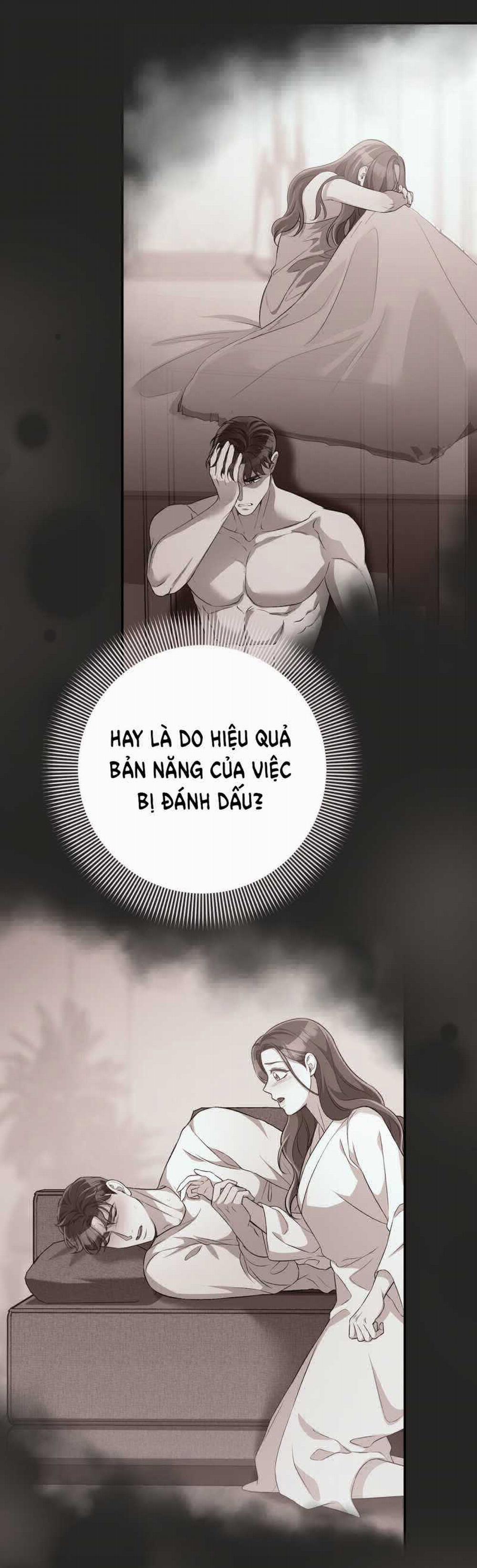 manhwax10.com - Truyện Manhwa [18+] Cướp Dâu Chương 33 1 Trang 24