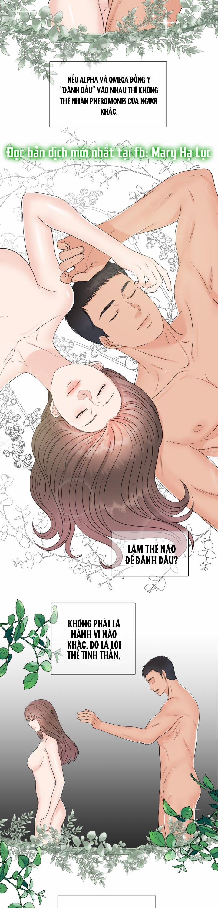 manhwax10.com - Truyện Manhwa [18+] Em Sẽ Chọn Alpha Nào~ Chương 3 Trang 3