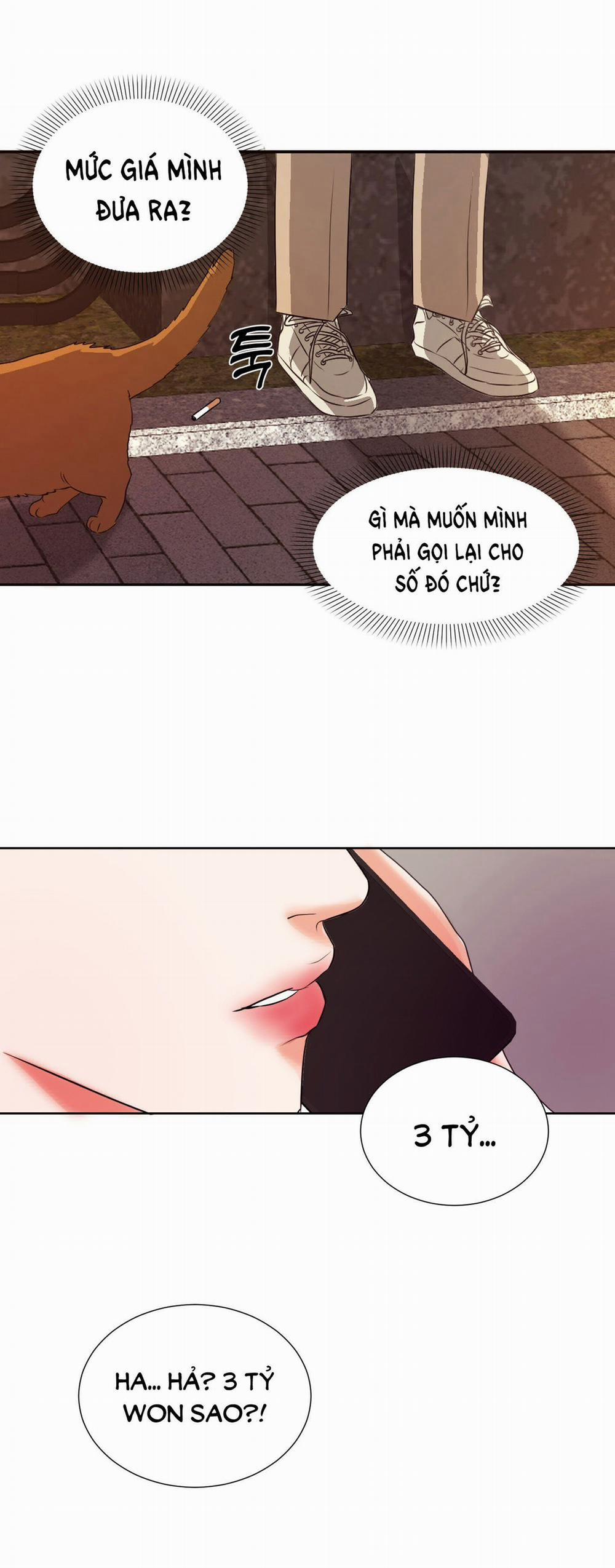 manhwax10.com - Truyện Manhwa [18+] End It Chương 2 Trang 3