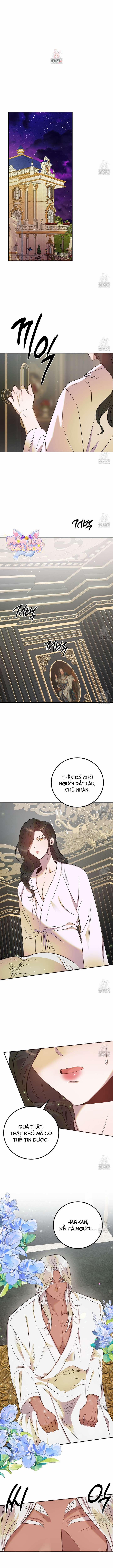 manhwax10.com - Truyện Manhwa [18+] Hậu Cung Của Nữ Hoàng Chương 5 Trang 2