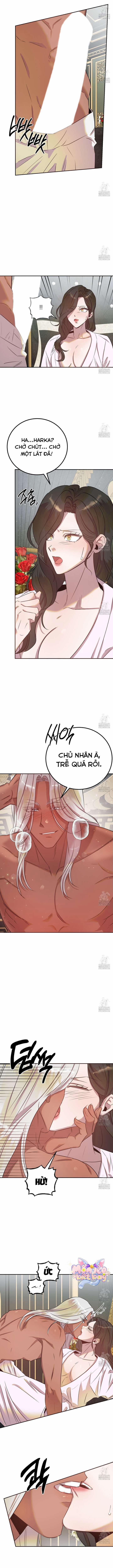 manhwax10.com - Truyện Manhwa [18+] Hậu Cung Của Nữ Hoàng Chương 5 Trang 11
