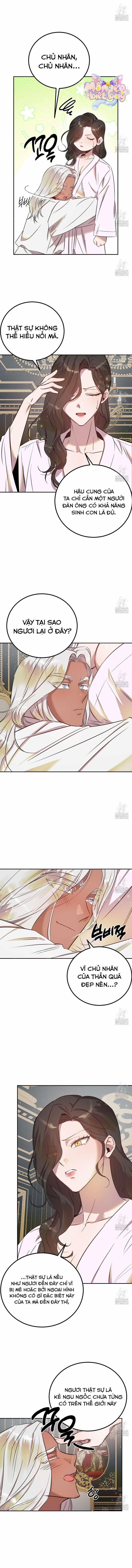 manhwax10.com - Truyện Manhwa [18+] Hậu Cung Của Nữ Hoàng Chương 5 Trang 3