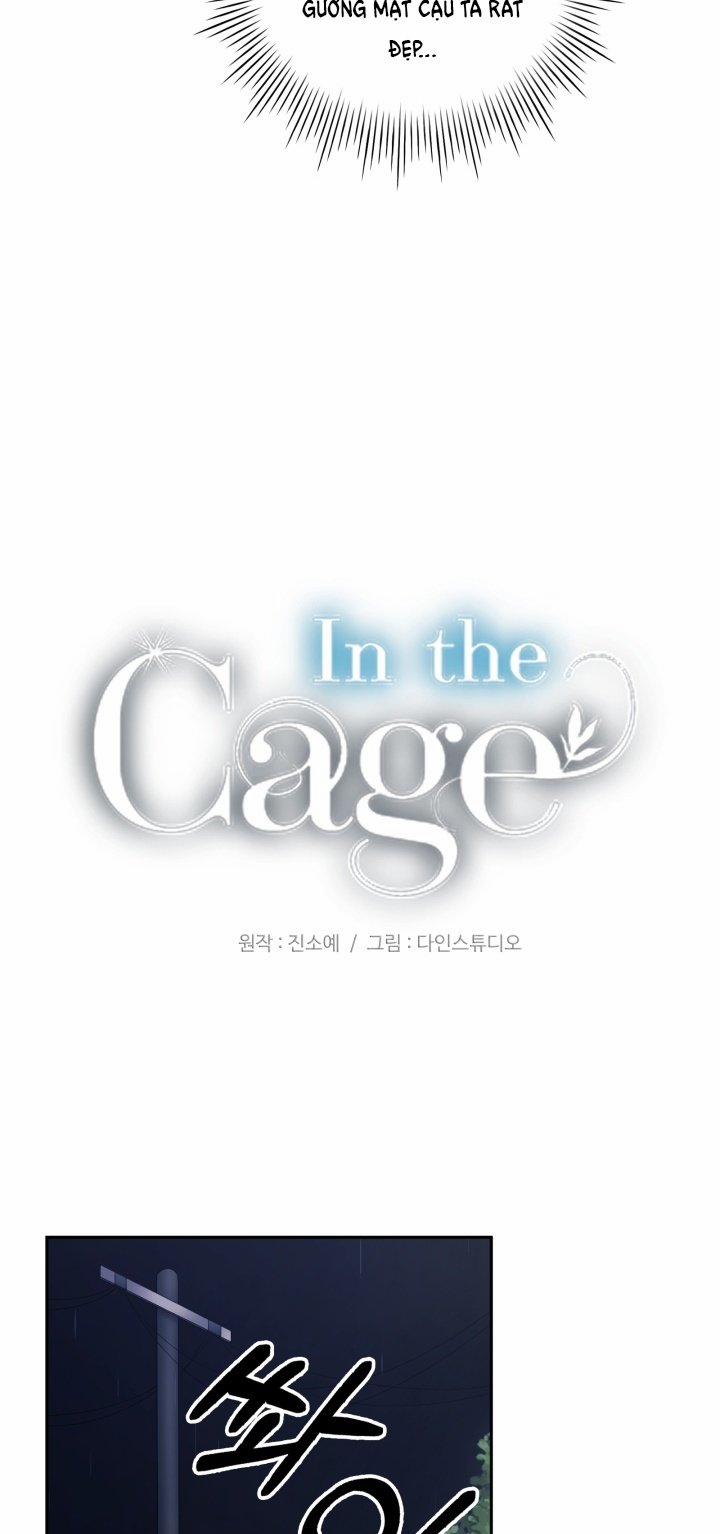 manhwax10.com - Truyện Manhwa [18+] In The Cage Chương 9 1 Trang 31