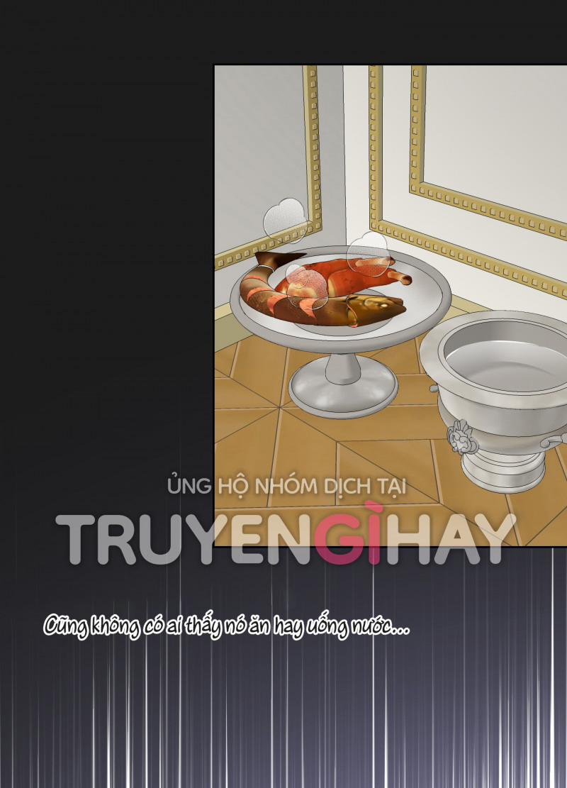 manhwax10.com - Truyện Manhwa [18+] Nhật Ký Phóng Đãng Của Alicia Young Ae Chương 21 Trang 16