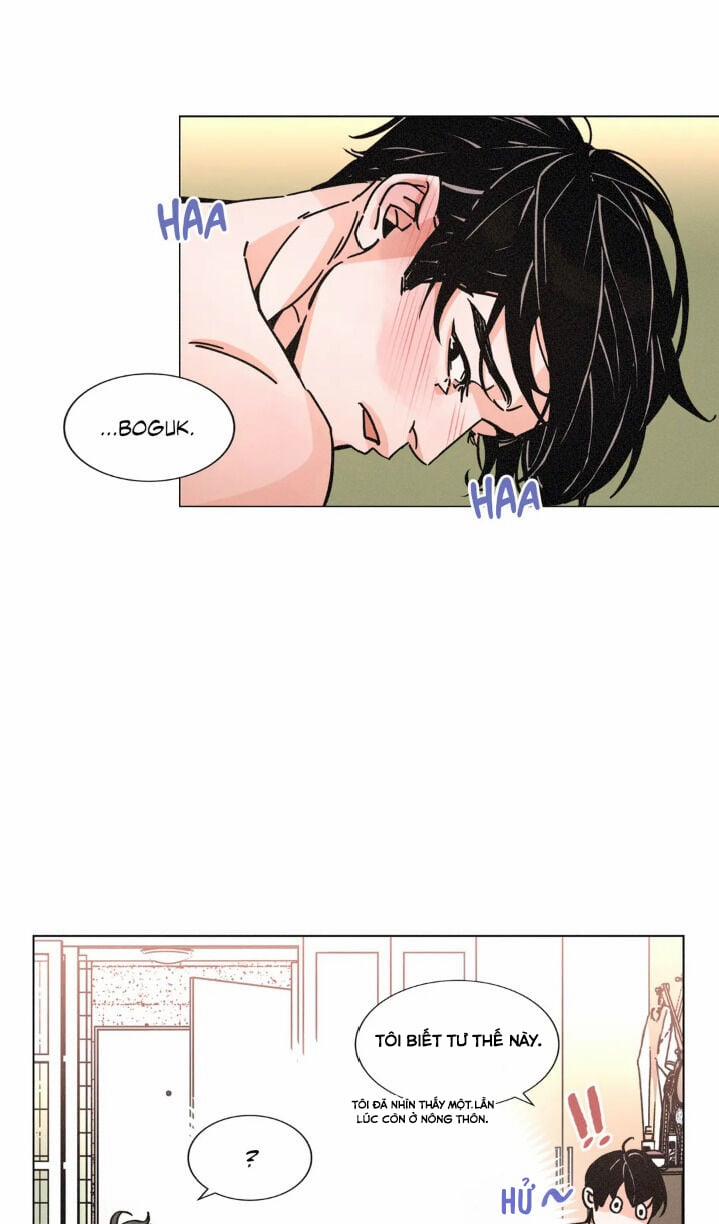 manhwax10.com - Truyện Manhwa (18+) Ouroboros Chương 21 Trang 19