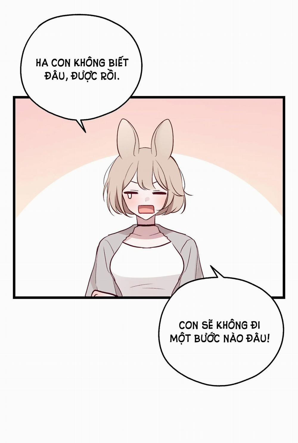 manhwax10.com - Truyện Manhwa [18+] Rắn Và Thỏ Có Thể Kết Hôn Không? Chương 1 1 Trang 15