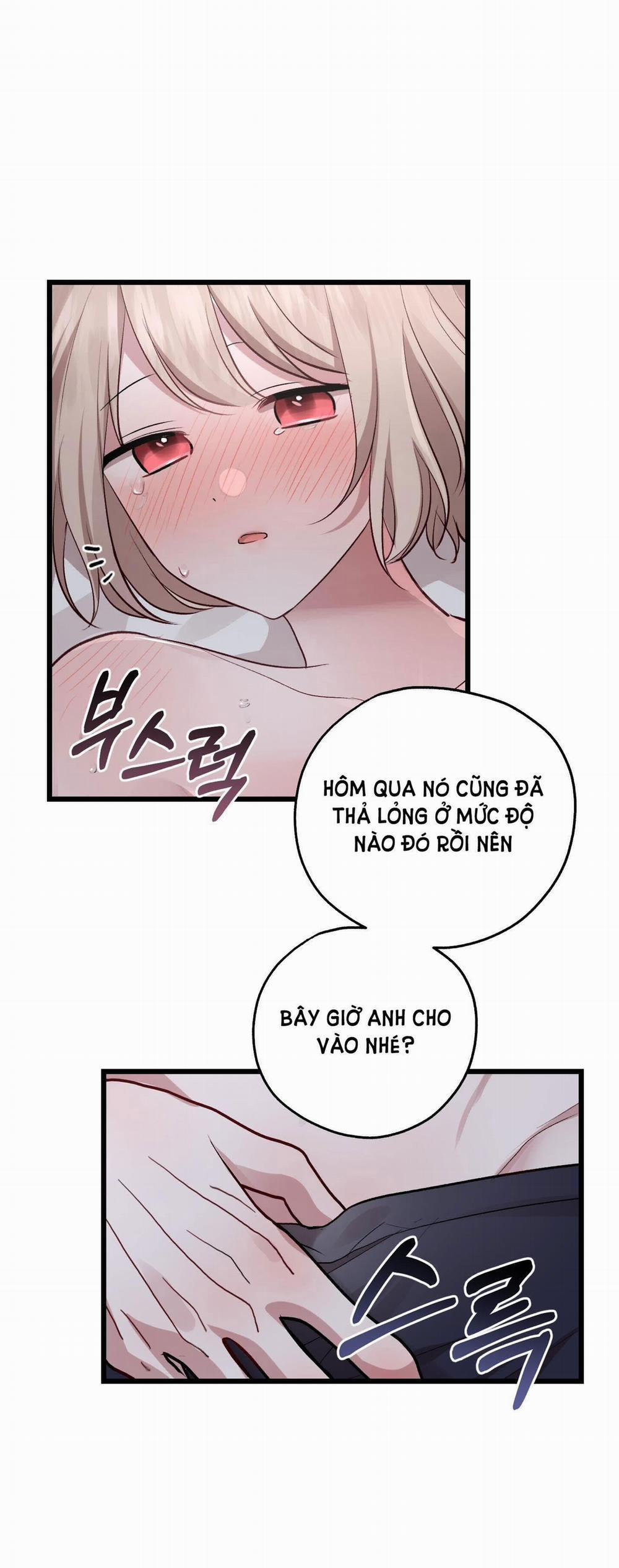 manhwax10.com - Truyện Manhwa [18+] Rắn Và Thỏ Có Thể Kết Hôn Không? Chương 2 2 Trang 22