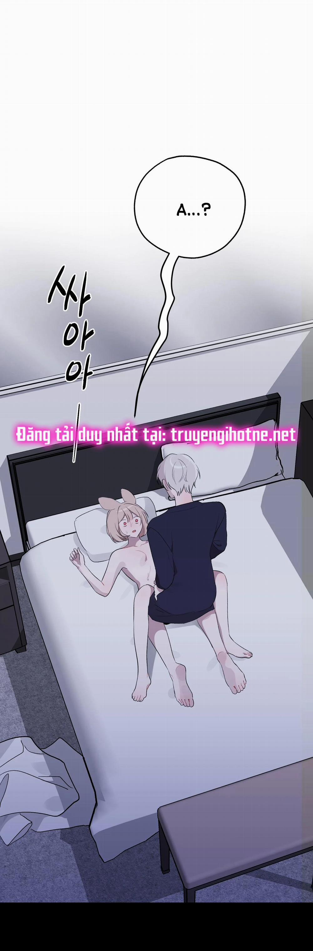 manhwax10.com - Truyện Manhwa [18+] Rắn Và Thỏ Có Thể Kết Hôn Không? Chương 2 2 Trang 25