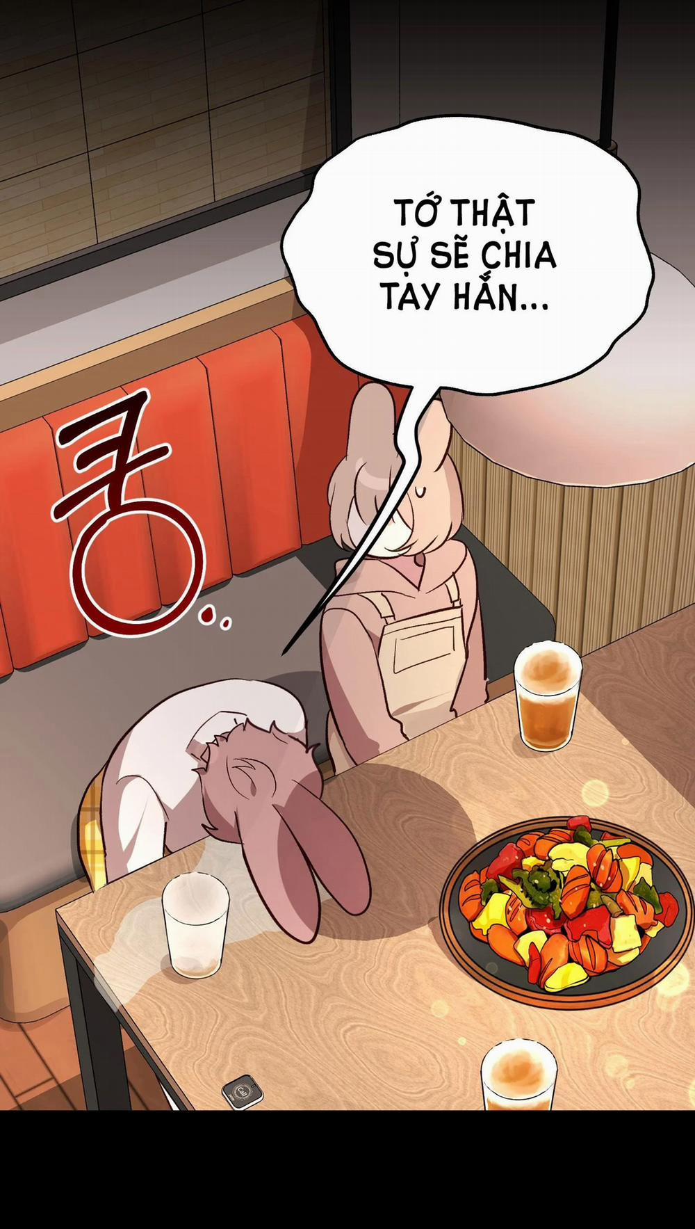 manhwax10.com - Truyện Manhwa [18+] Rắn Và Thỏ Có Thể Kết Hôn Không? Chương 3 1 Trang 16