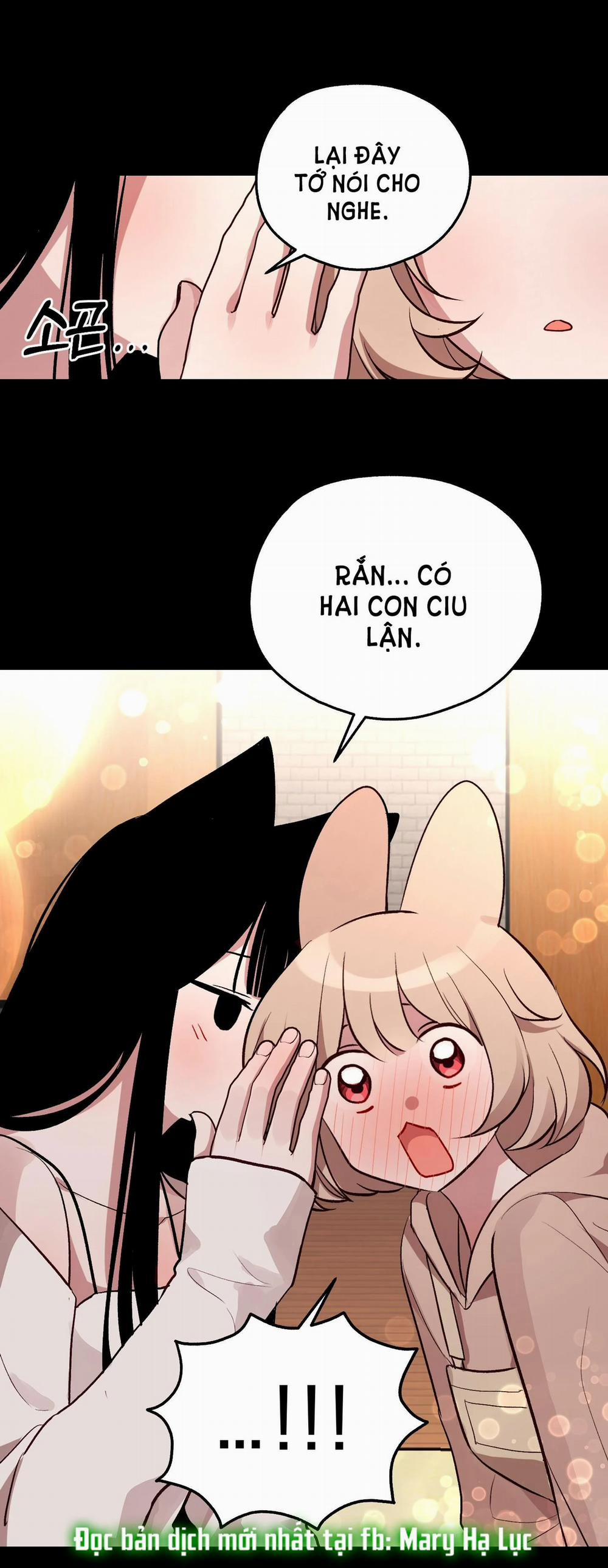 manhwax10.com - Truyện Manhwa [18+] Rắn Và Thỏ Có Thể Kết Hôn Không? Chương 3 1 Trang 22