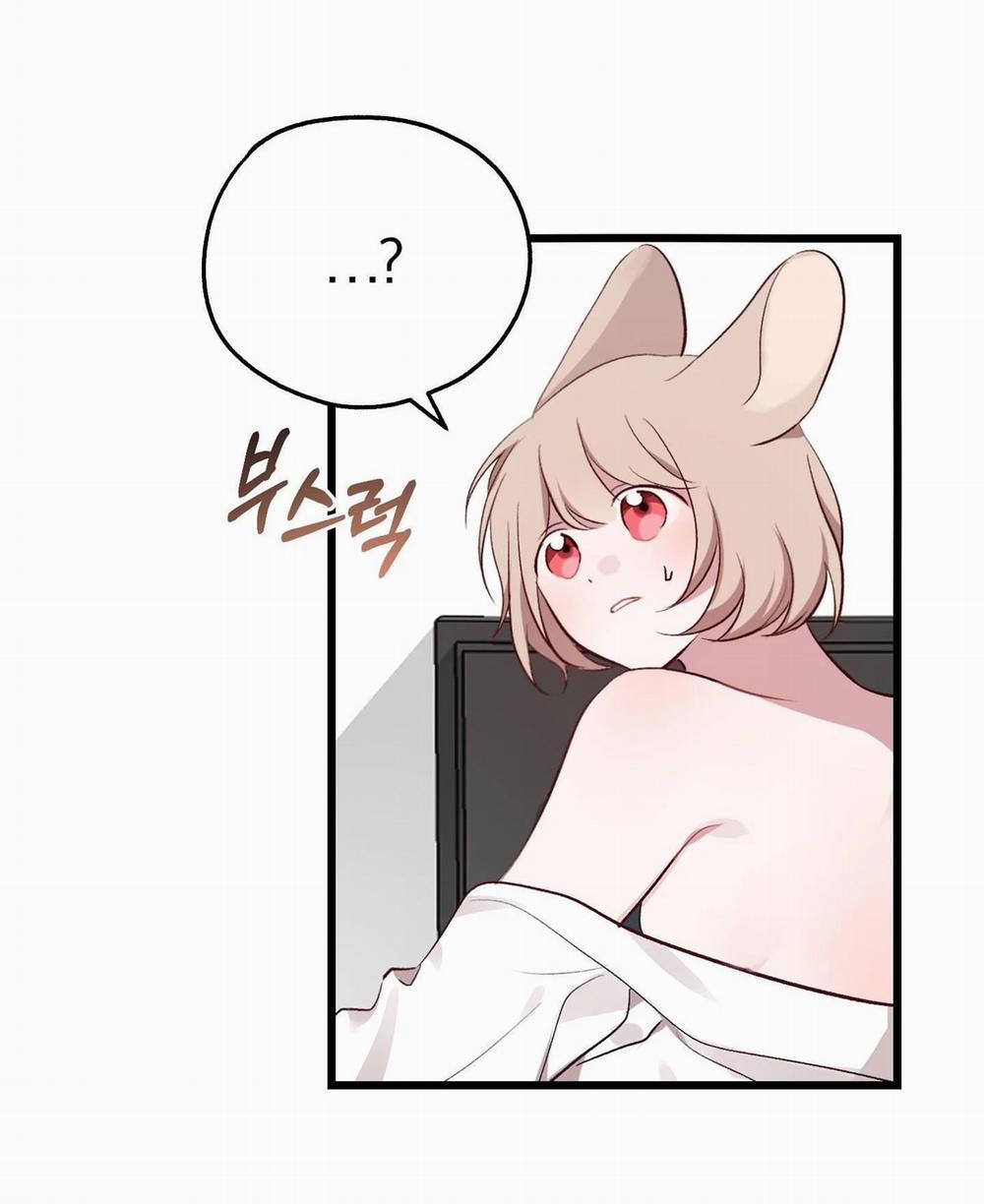 manhwax10.com - Truyện Manhwa [18+] Rắn Và Thỏ Có Thể Kết Hôn Không? Chương 4 2 Trang 4