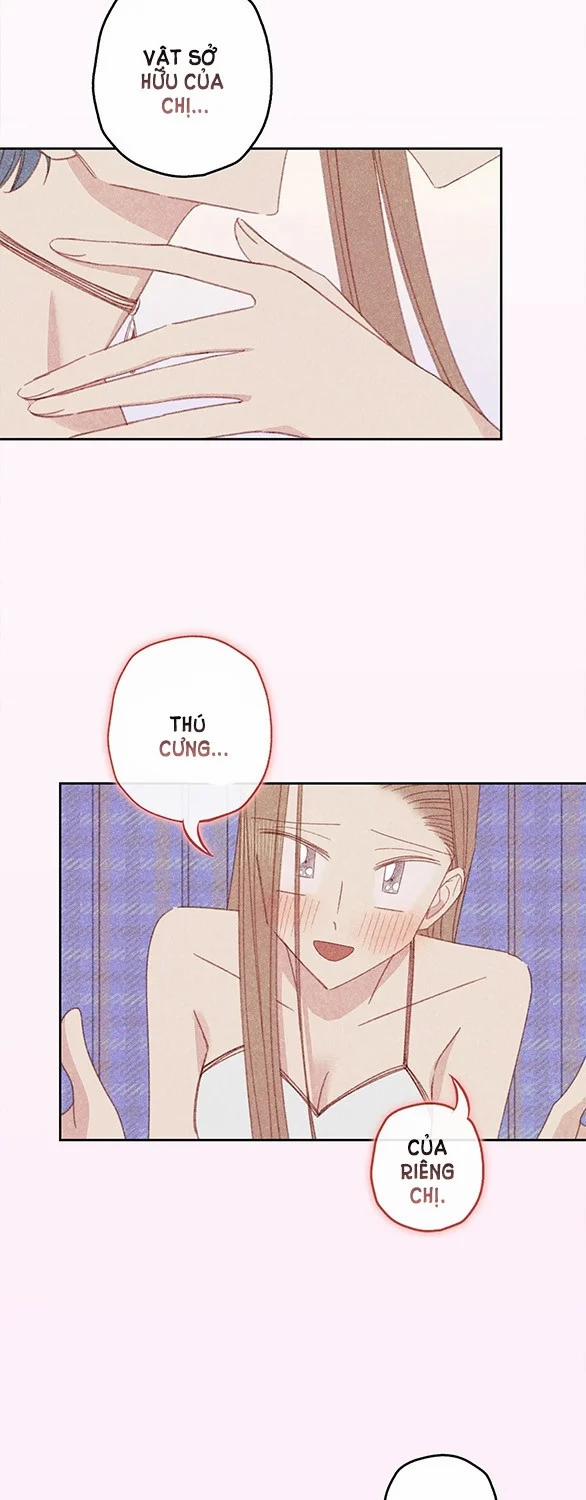 manhwax10.com - Truyện Manhwa [18+] Thú Cưng Nguy Hiểm Chương 17 Trang 5