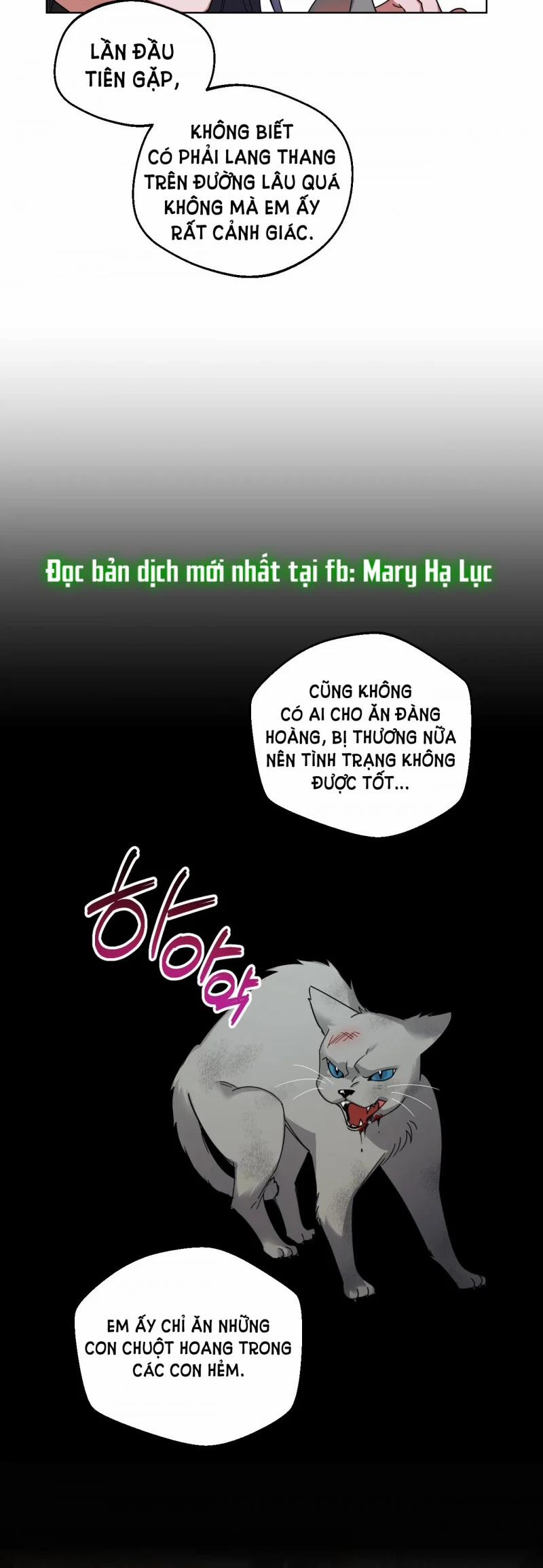 manhwax10.com - Truyện Manhwa [18+] Weakness – Điểm Yếu Chương 4 1 Trang 14