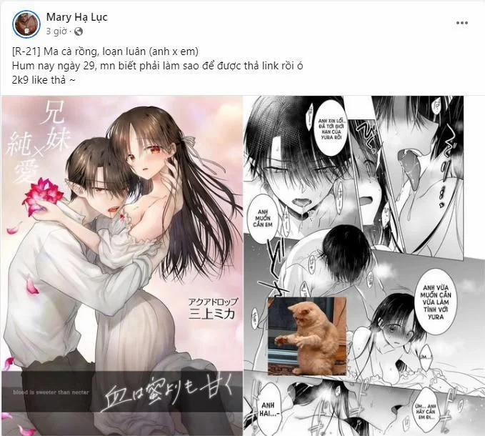 manhwax10.com - Truyện Manhwa [21+] Máu Ngọt Ngào Hơn Mật Hoa Chương 1 1 Trang 1