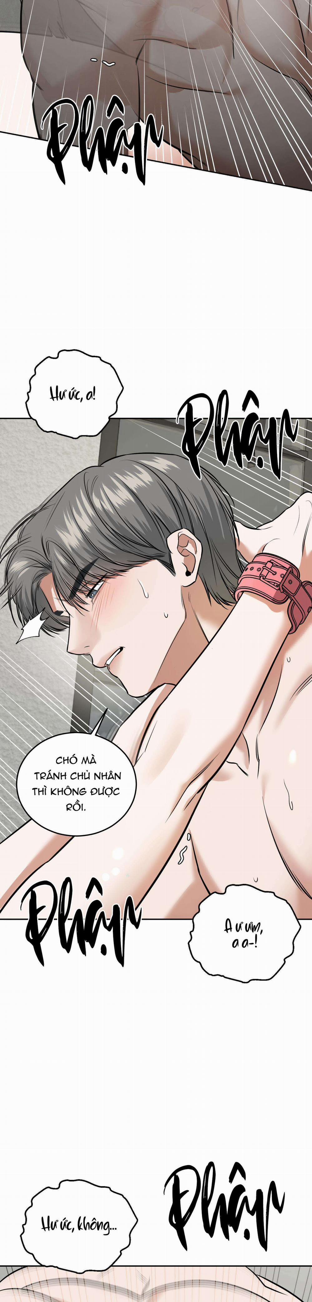 manhwax10.com - Truyện Manhwa (Abo) Feel My Benefit Chương 16 Trang 26