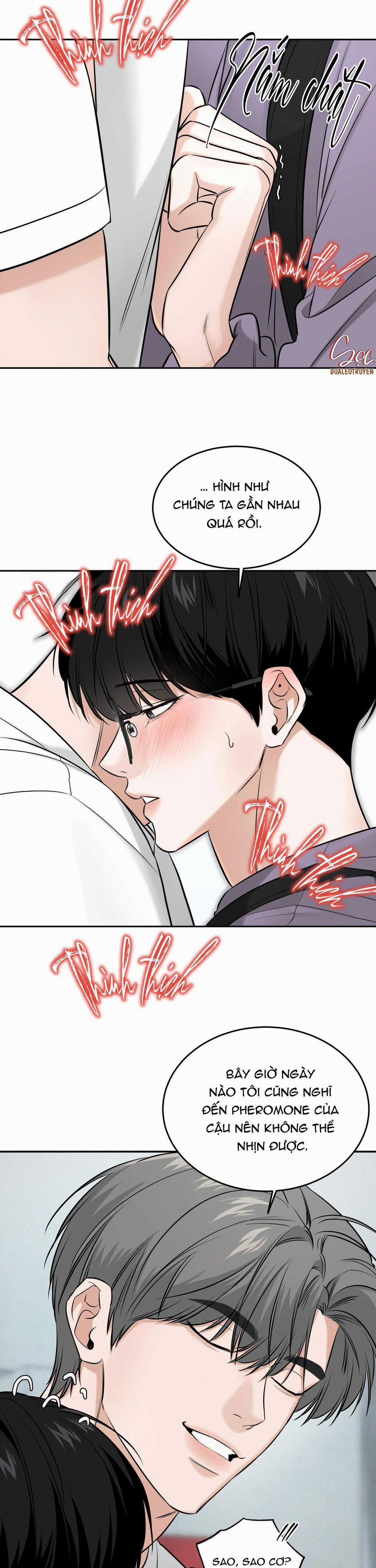 manhwax10.com - Truyện Manhwa (Abo) Feel My Benefit Chương 22 Trang 21