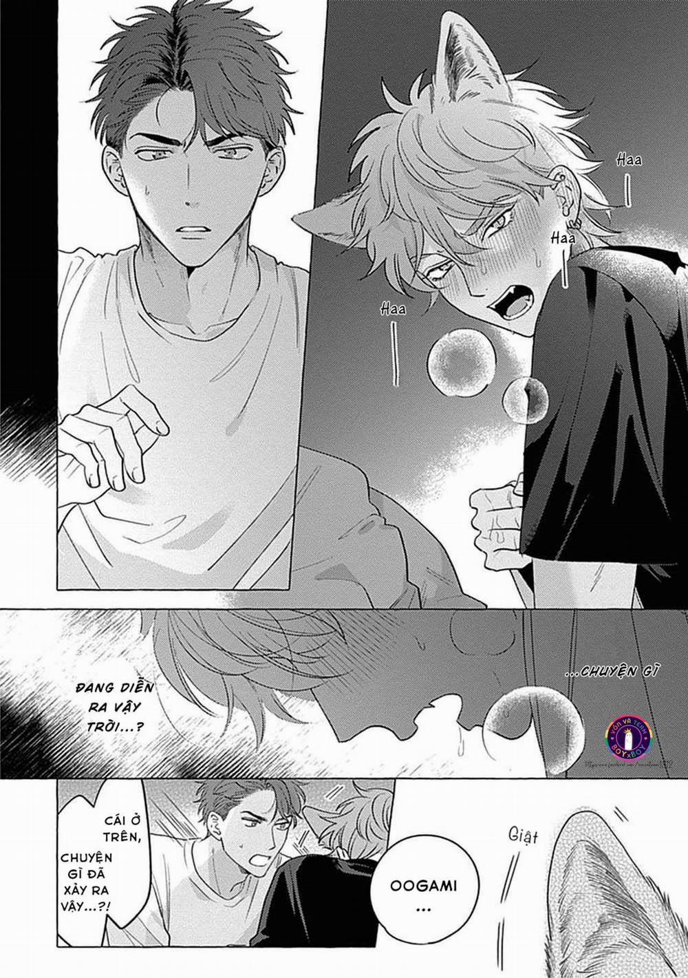 manhwax10.com - Truyện Manhwa Aimai na Wolf (END) Chương 1 Trang 24