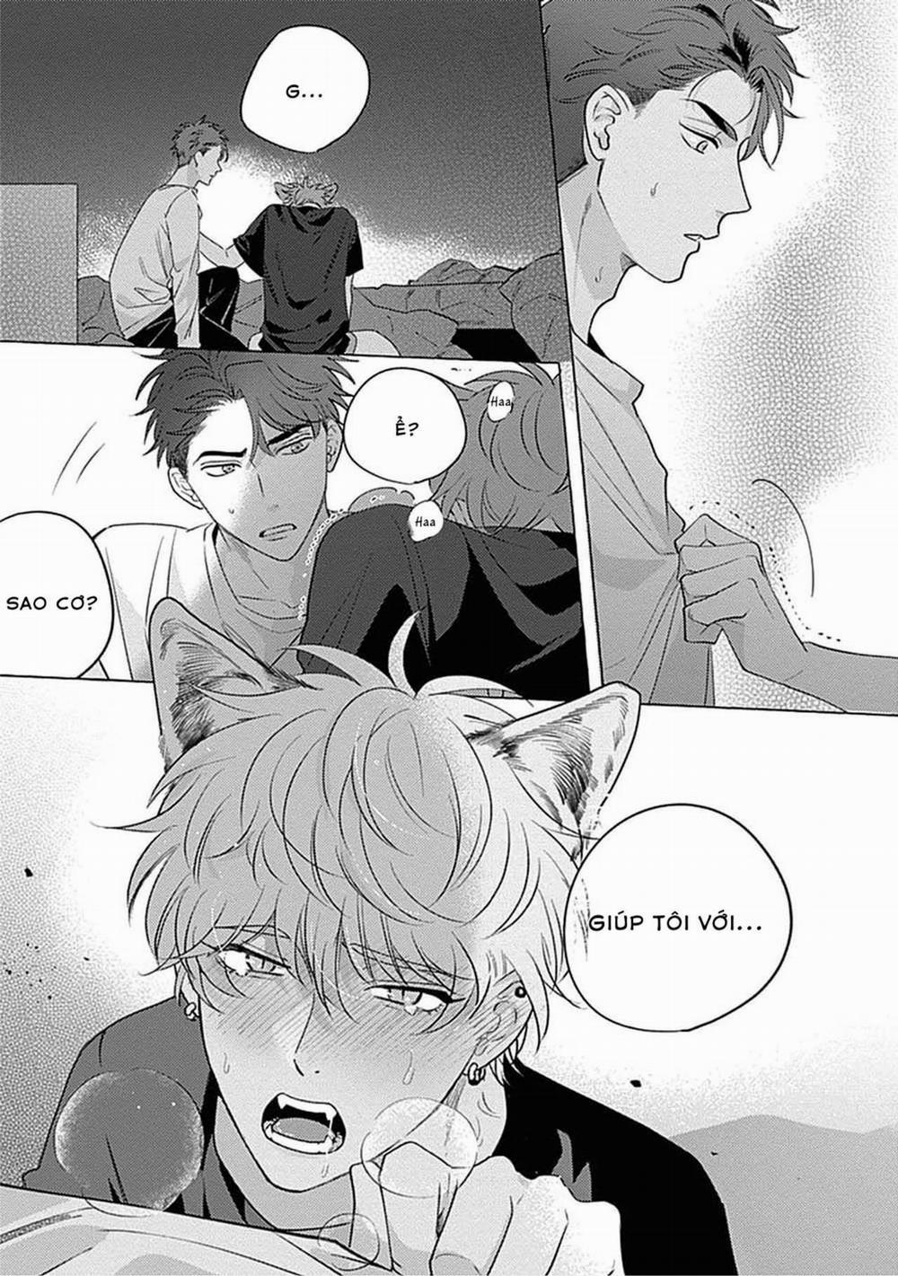 manhwax10.com - Truyện Manhwa Aimai na Wolf (END) Chương 1 Trang 25