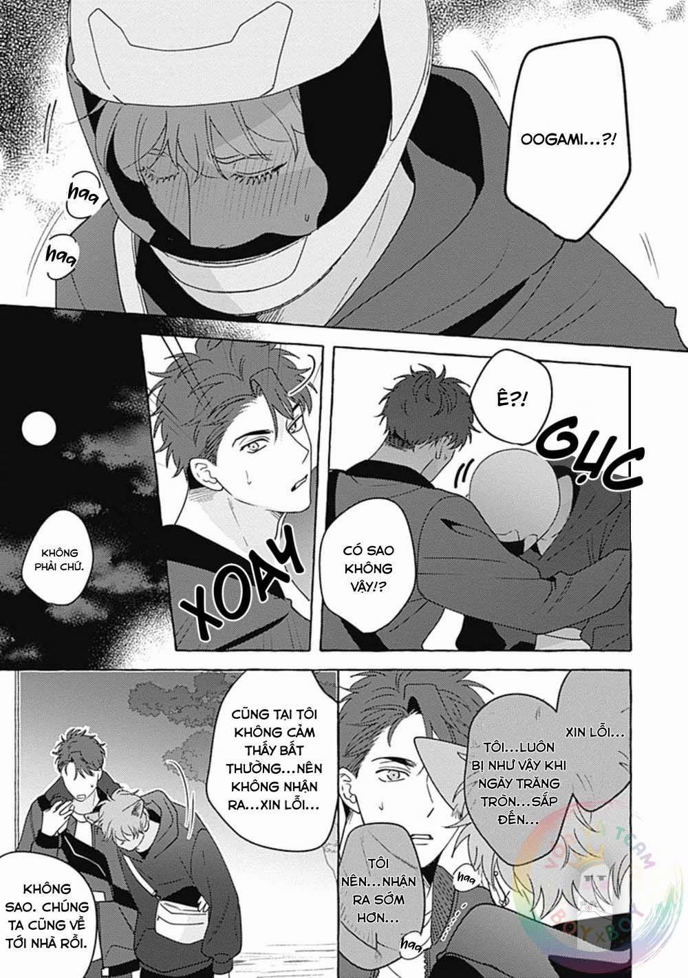 manhwax10.com - Truyện Manhwa Aimai na Wolf (END) Chương 4 Trang 28