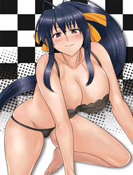 Akeno-San To DxD (Highschool DxD)