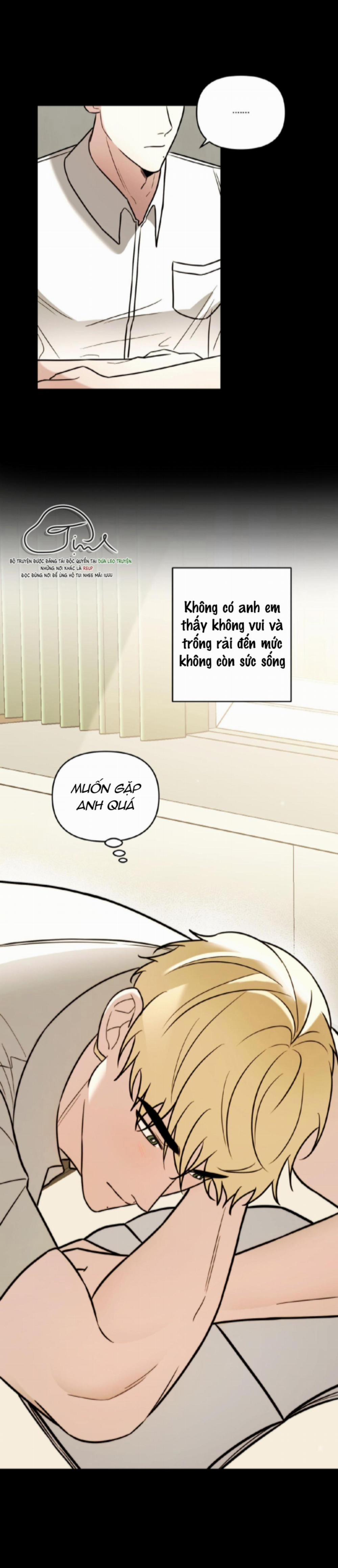 manhwax10.com - Truyện Manhwa Anh à, Không Thể Là Em được Sao? Chương 6 Trang 4