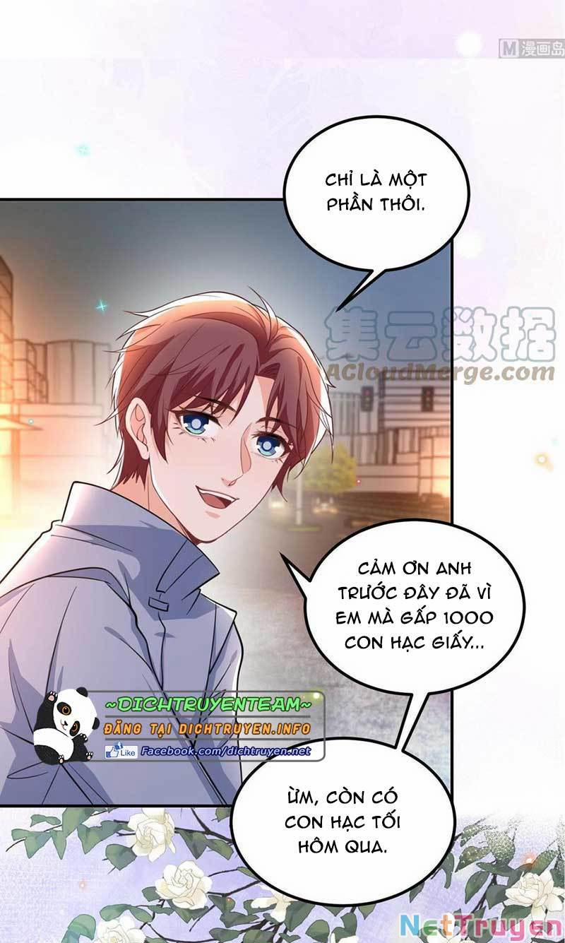 manhwax10.com - Truyện Manhwa Ảnh Đế Làm Loạn Đòi Ly Hôn Chương 87 Trang 24