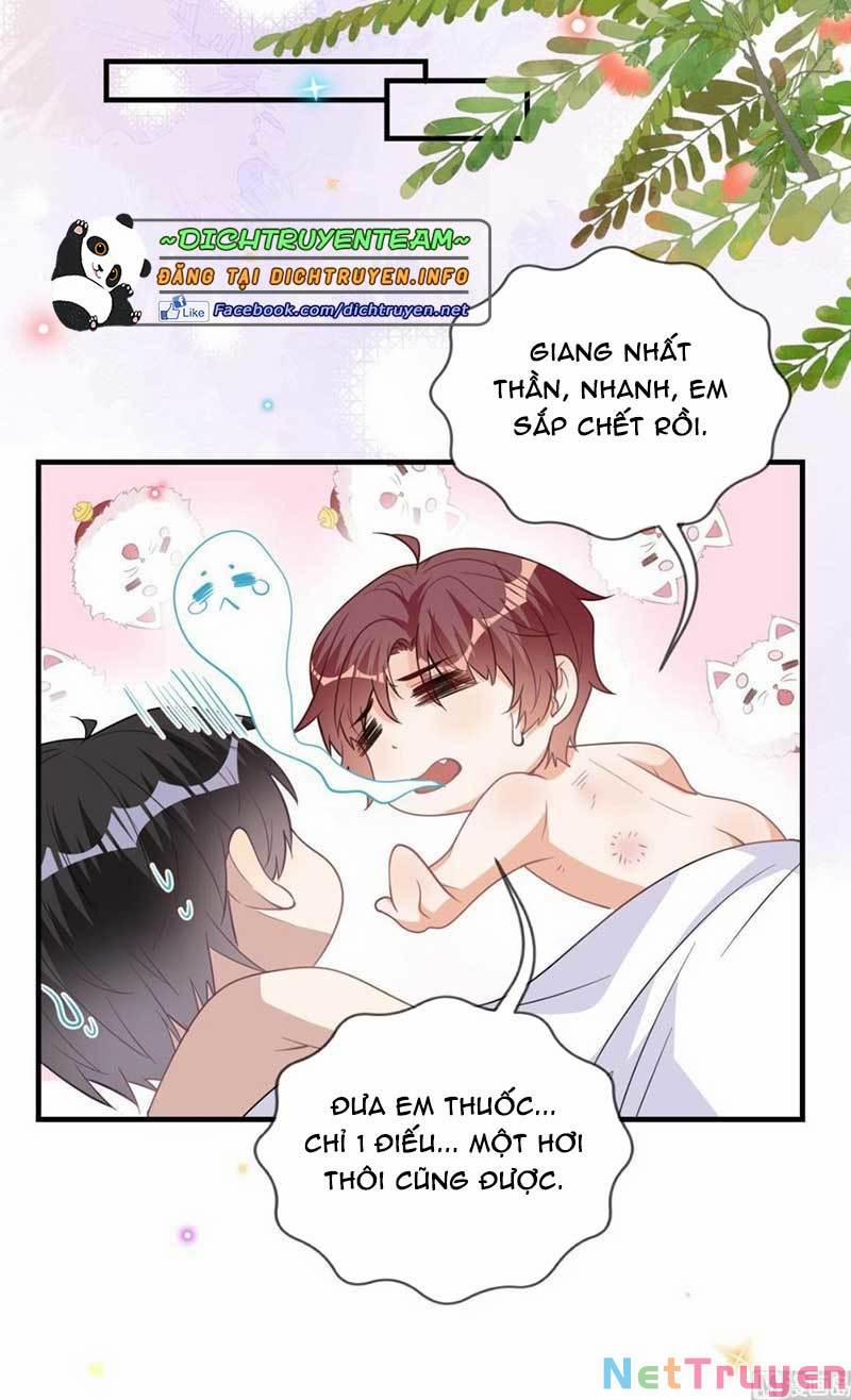 manhwax10.com - Truyện Manhwa Ảnh Đế Làm Loạn Đòi Ly Hôn Chương 90 Trang 18