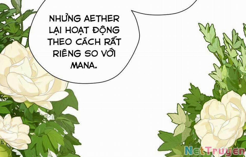 manhwax10.com - Truyện Manhwa Ánh Sáng Cuối Con Đường Chương 158 Trang 204