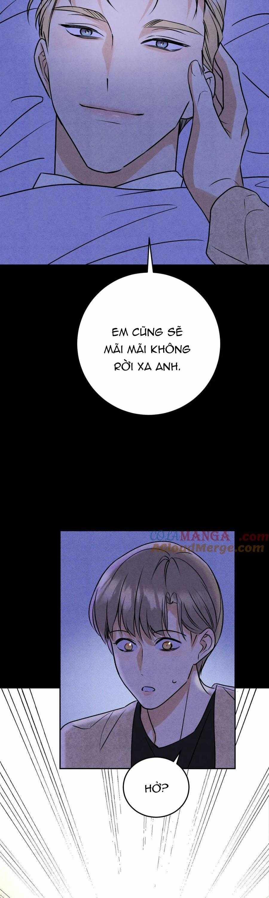manhwax10.com - Truyện Manhwa Anh Trai Rẻ Tiền Của Tôi Chương 65 Trang 18