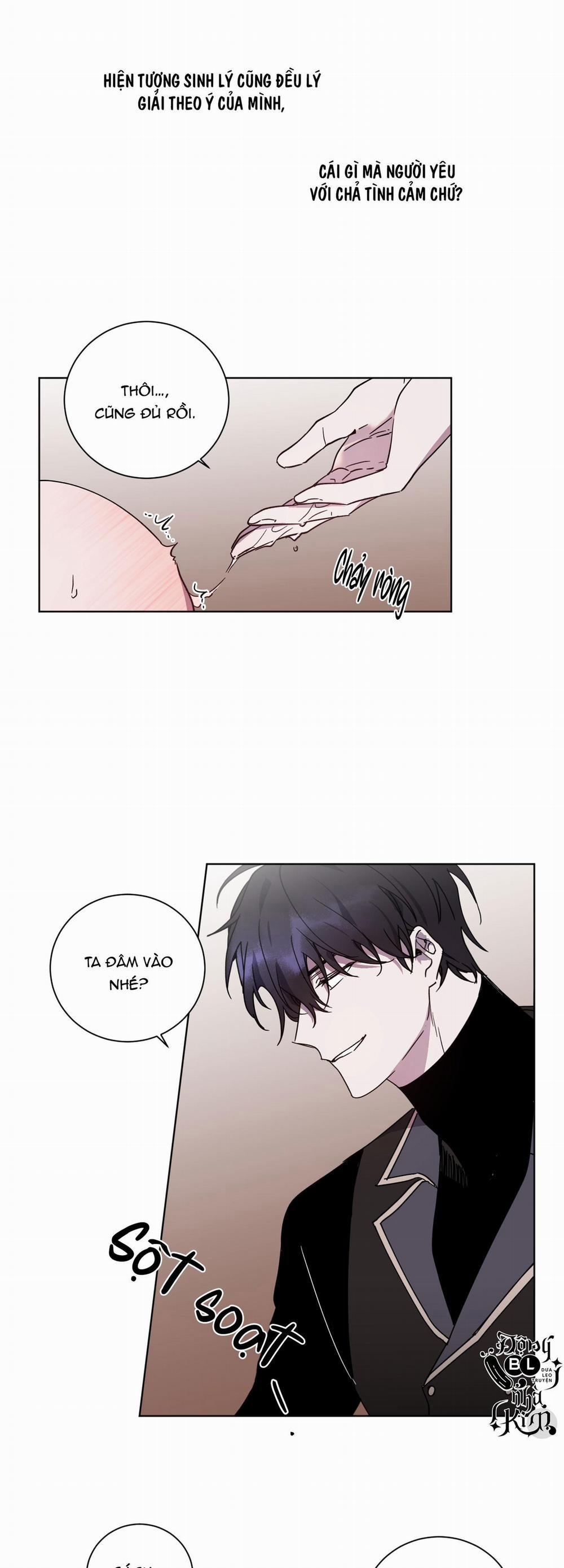 manhwax10.com - Truyện Manhwa Bá Tước, Yêu Tôi Đi Chương 13 Trang 3