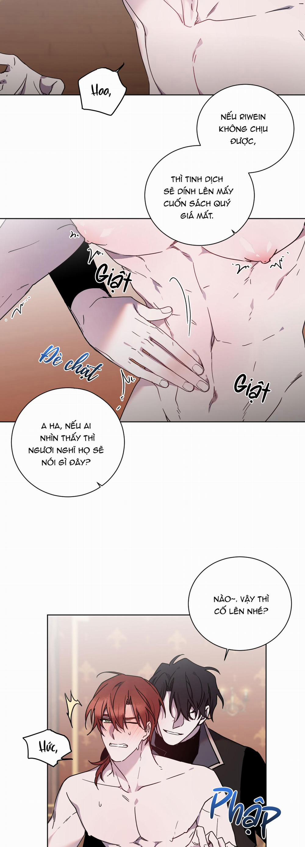 manhwax10.com - Truyện Manhwa Bá Tước, Yêu Tôi Đi Chương 13 Trang 7