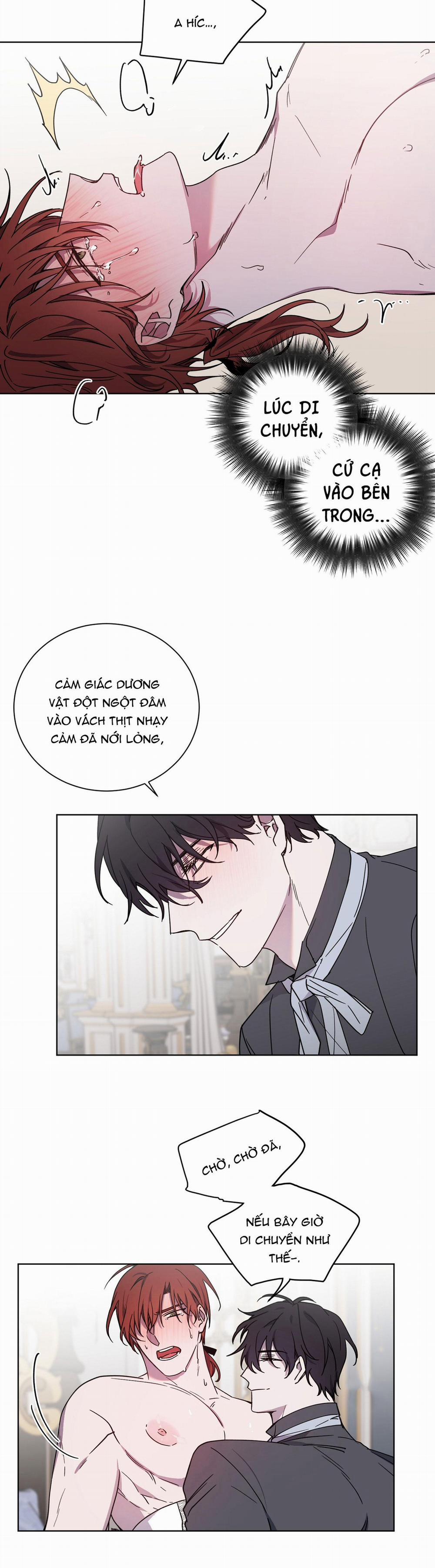 manhwax10.com - Truyện Manhwa Bá Tước, Yêu Tôi Đi Chương 22 Trang 19