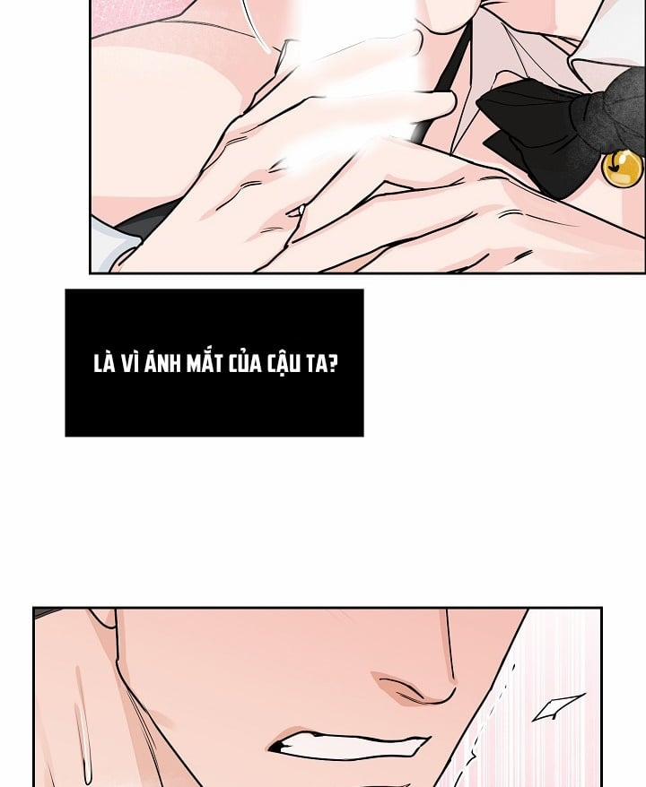 manhwax10.com - Truyện Manhwa Bạn Sẽ Follow Tôi Chứ? Chương 30 Trang 10