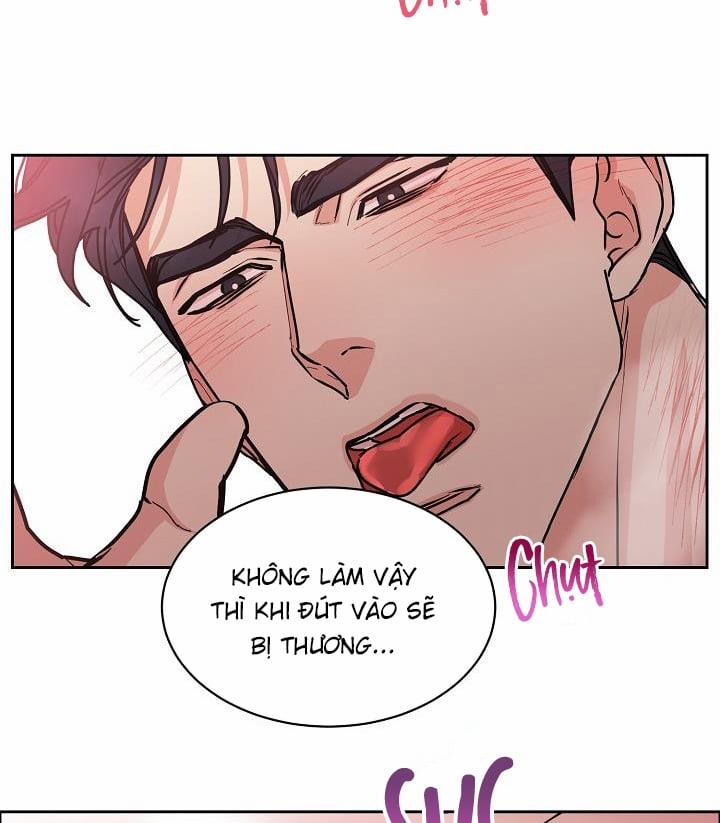 manhwax10.com - Truyện Manhwa Bạn Sẽ Follow Tôi Chứ? Chương 76 Trang 24