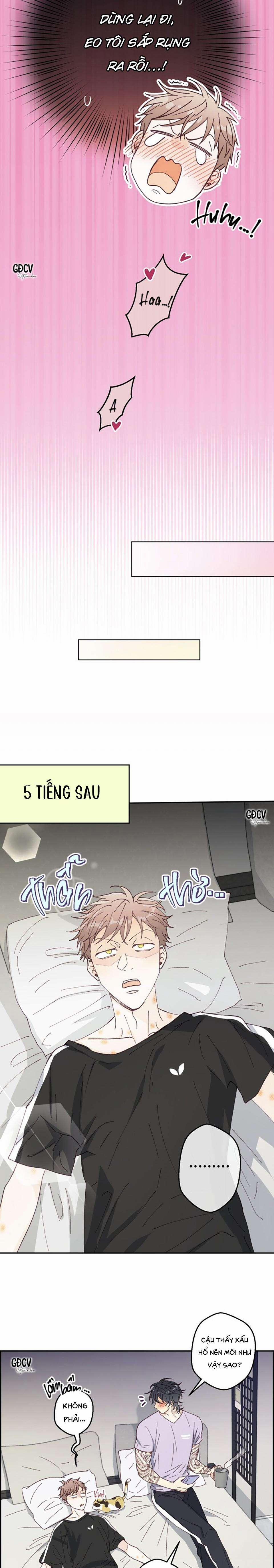 manhwax10.com - Truyện Manhwa BẠN TRAI VÔ SONG CỦA TÔI Chương 0 0 Trang 17