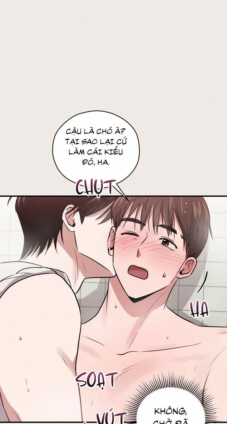 manhwax10.com - Truyện Manhwa Báo Cáo Thanh Xuân 1995 Chương 17 Trang 27