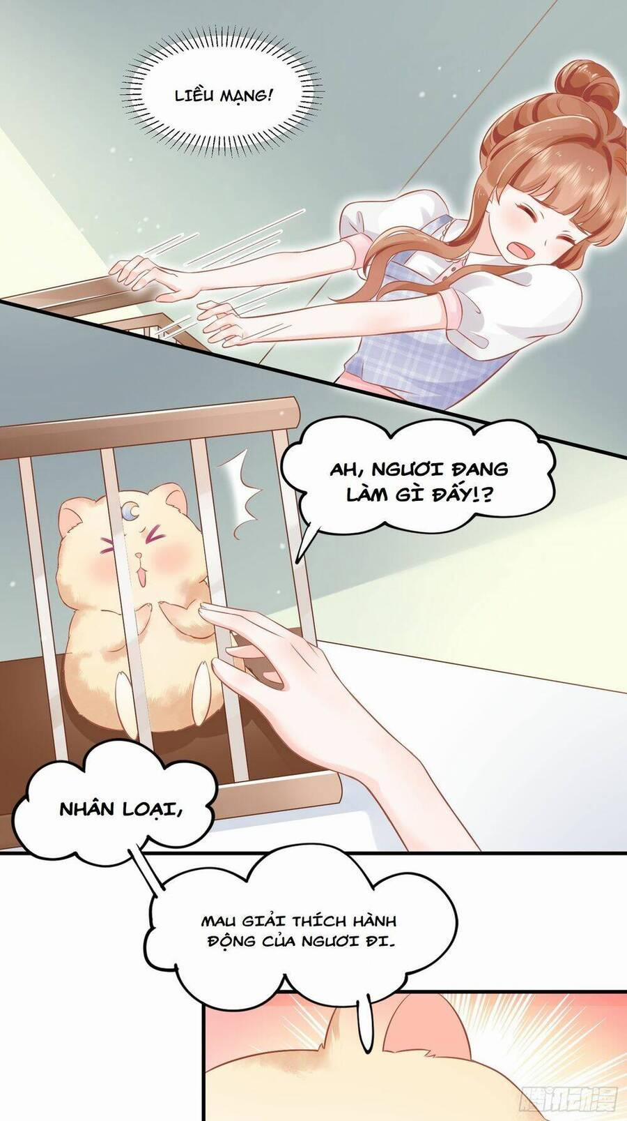 manhwax10.com - Truyện Manhwa Bảo Điển Tình Yêu Của Hamster Chương 1 Trang 33