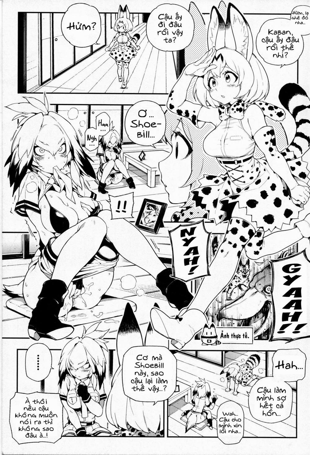 manhwax10.com - Truyện Manhwa Beast friend (Kemono Friends) Chương Oneshot Trang 3