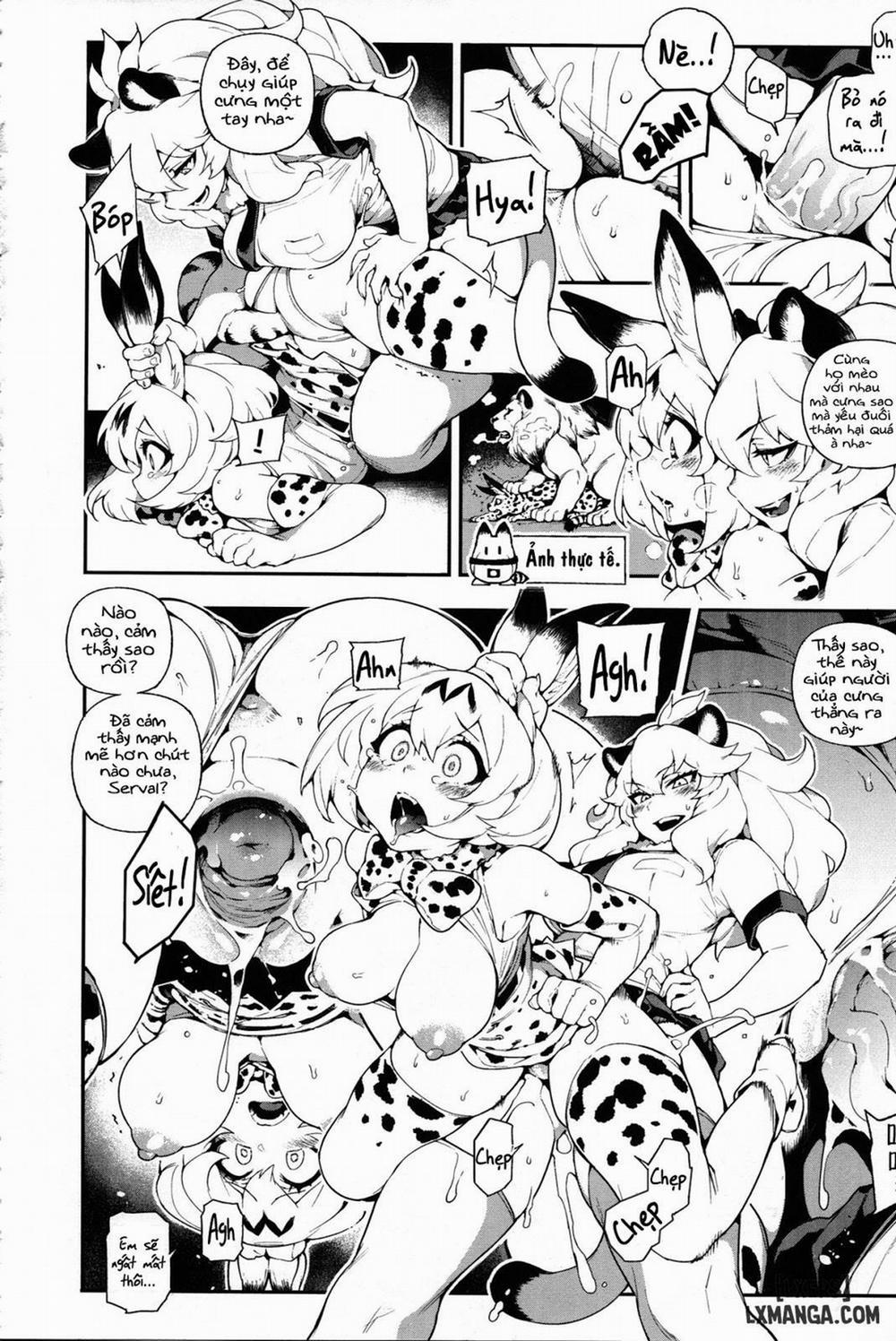 manhwax10.com - Truyện Manhwa Beast Friend Chương Oneshot Trang 10