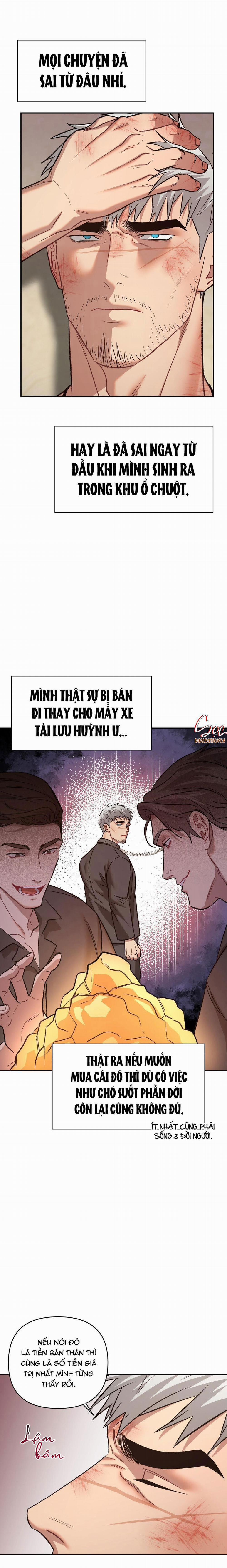 manhwax10.com - Truyện Manhwa BIỂN ĐỎ Chương 8 Trang 16